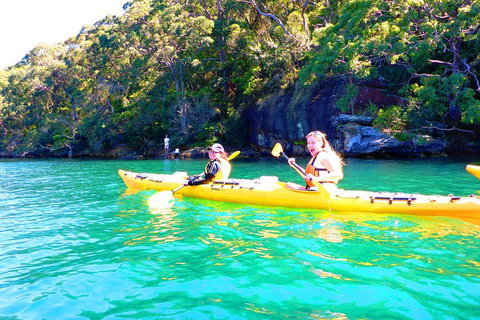Half-Day Sydney Middle Harbour Guided Kayaking Eco Tour - Restaurants Sydney 4