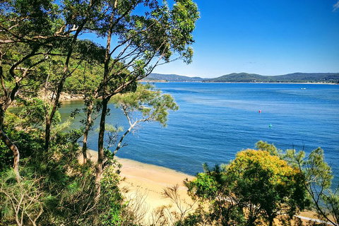 Central Coast Explorer With 'Personalised Sydney Tours' - Restaurants Sydney 0