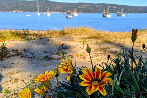 Central Coast Explorer With 'Personalised Sydney Tours' - Restaurants Sydney 2
