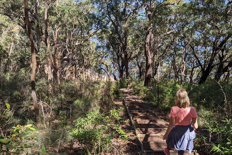 Central Coast Explorer With 'Personalised Sydney Tours' - Restaurants Sydney 4