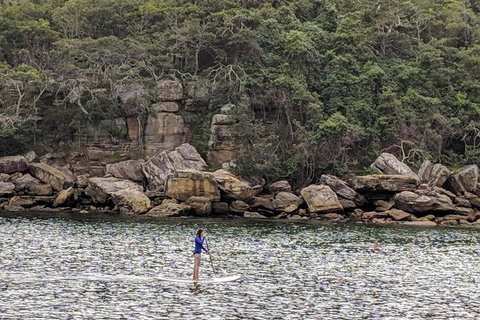 Manly & Sydney's Northern Beaches With 'Personalised Sydney Tours' - Restaurants Sydney 3