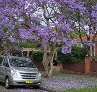 Sydney Secrets  Bondi Beach Private 4 Hr Morning with Personalised Sydney Tours - Restaurants Sydney