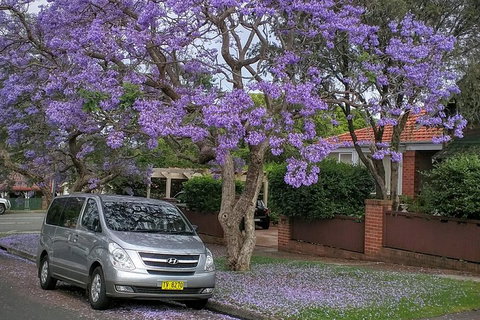 Sydney Secrets & Bondi Beach Private 4 Hr Morning With Personalised Sydney Tours - Restaurants Sydney 0