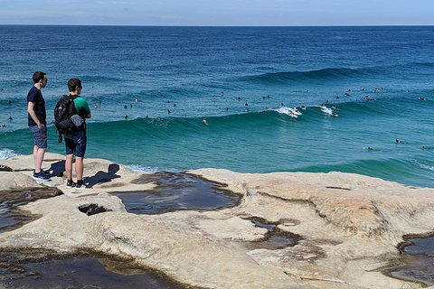 Sydney Secrets & Bondi Beach Private 4 Hr Morning With Personalised Sydney Tours - Restaurants Sydney 2