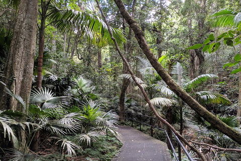 Erupting Blowholes And Ancient Rainforests With 'Personalised Sydney Tours' - Restaurants Sydney 2