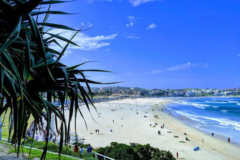 Sydney Secrets & Bondi Private 4 Hour Afternoon With 'Personalised Sydney Tours' - Restaurants Sydney 0