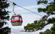 Sydney Taronga Zoo General Entry Ticket And Wild Australia Experience - thumb 2