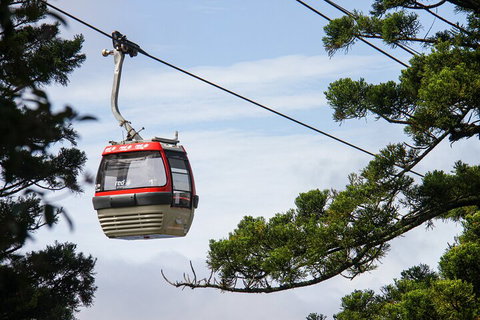 Sydney Taronga Zoo General Entry Ticket And Wild Australia Experience - Restaurants Sydney 2