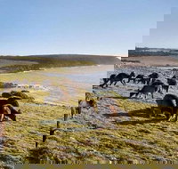 Kangaroo Island Personal Group Tours - Restaurants Sydney