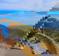 Private Tour Mornington Peninsula Family Maze and Fun - Restaurants Sydney