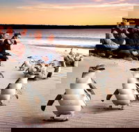 Private Tour Penguin Parade Phillip Island Tour. - Restaurants Sydney