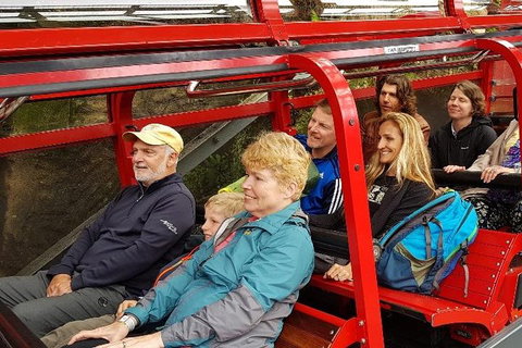 Blue Mountains Ultimate One-Day Tour - Restaurants Sydney 0