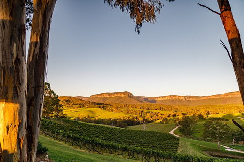 Taste Of The Blue Mountains - Lunch & Wine Tasting, Beer, Cider & Gin Tasting - Restaurants Sydney 1