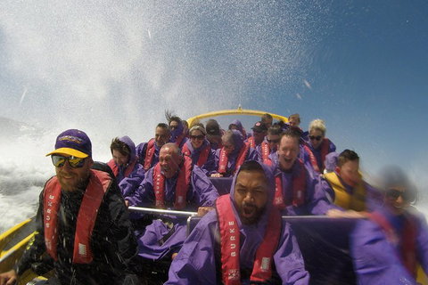 45 Minute Extreme Adrenaline Rush Ride - Restaurants Sydney 4