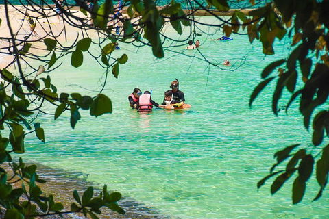 Green Island Day Trip From Cairns - Restaurants Sydney 2
