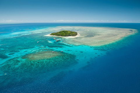 Green Island Day Trip From Cairns - Restaurants Sydney 3