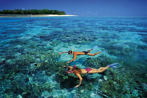 Green Island Day Trip From Cairns - Restaurants Sydney 5