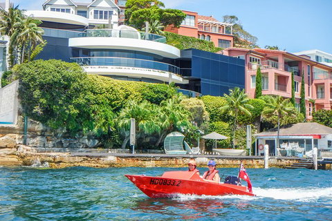 Sydney Speed Boat Adventure Harbour Tour - Restaurants Sydney 3