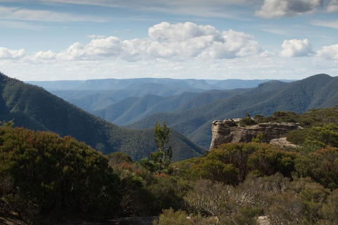 Inside The Greater Blue Mountains World Heritage - A Private Wildlife Safari Overnight - Restaurants Sydney 5