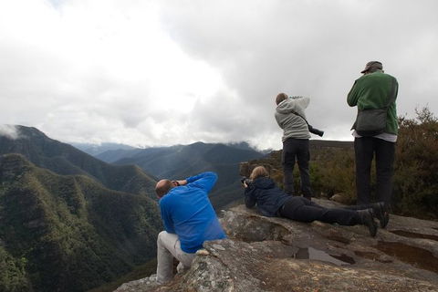 From The Mountains To The Bay - 4 Day Rediscovery Private Tour - Restaurants Sydney 4