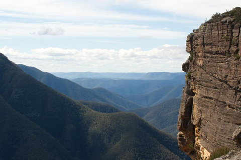 Inside The Greater Blue Mountains World Heritage - A Wildlife Safari Overnight - Restaurants Sydney 4