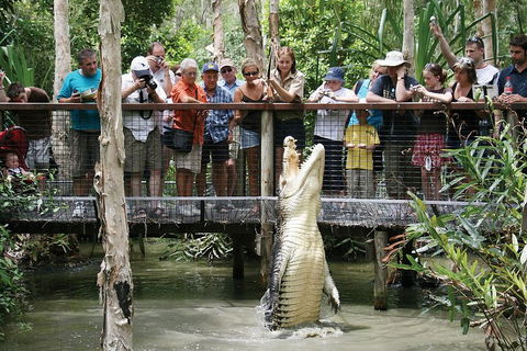 Hartley's Crocodile Adventure Half-Day Tour - Restaurants Sydney 1