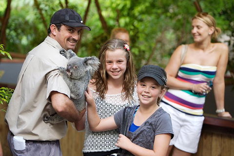 Hartley's Crocodile Adventure Half-Day Tour - Restaurants Sydney 3