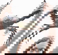 The Ultimate Gold Coast Attractions Pass - Restaurants Sydney