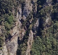 Leven Canyon Day Trip Including Wings Wildlife Park or Gunns Plains Caves - Restaurants Sydney