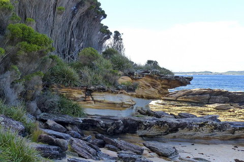 Day Trip To Cronulla & The Royal National Park - Restaurants Sydney 4