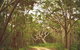 Day Trip To Cronulla & The Royal National Park - thumb 5