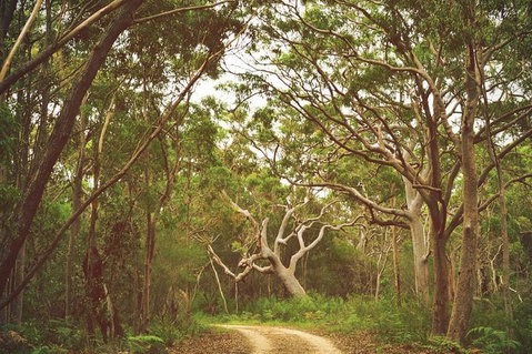 Day Trip To Cronulla & The Royal National Park - Restaurants Sydney 5