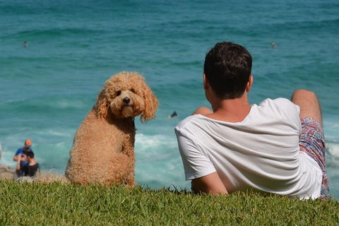 See Sydney With A Local: Private & Personalized - Restaurants Sydney 5