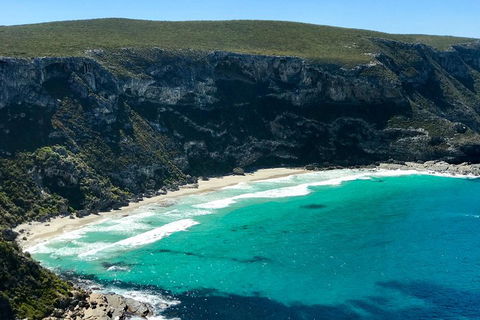 Kangaroo Island Scenic Trail Tour - Restaurants Sydney 4