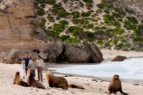 Kangaroo Island Scenic Trail Tour - Restaurants Sydney 5