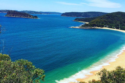 Central Coast Private Tour From Sydney, With Australian Reptile Park Option - Restaurants Sydney 5
