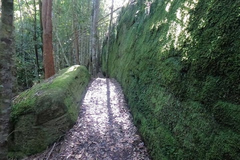 4x4 Off-Road Tour - Restaurants Sydney 4