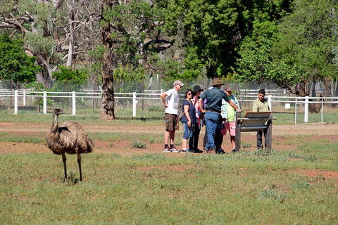 Yura Udnyu - Our Culture, Your Culture (Aboriginal Cultural Walk) - Restaurants Sydney 1