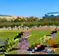 Private Picnic and Wine Tasting Experience in Barossa Valley - Restaurants Sydney