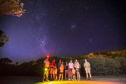 Alice Springs Desert Park Nocturnal Tour - Restaurants Sydney 2