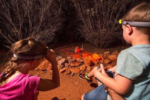 Alice Springs Desert Park Nocturnal Tour - Restaurants Sydney 4
