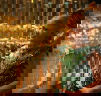 The Perth Mint Guided Heritage Tour and Gold Pour - Restaurants Sydney