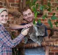 Private Tour Blue Mountains Day Trip from Sydney - Restaurants Sydney