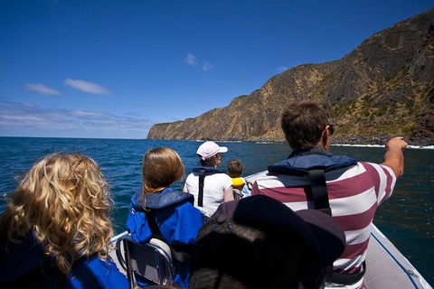 Seal Island Boat Tour From Victor Harbor - Restaurants Sydney 0