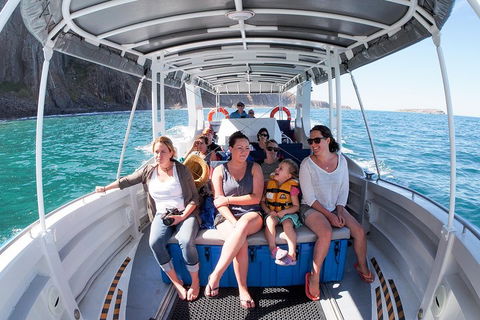 Seal Island Boat Tour From Victor Harbor - Restaurants Sydney 1