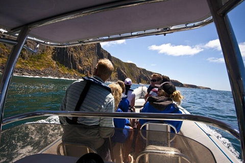 Seal Island Boat Tour From Victor Harbor - Restaurants Sydney 2