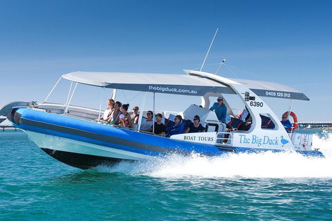 Seal Island Boat Tour From Victor Harbor - Restaurants Sydney 3