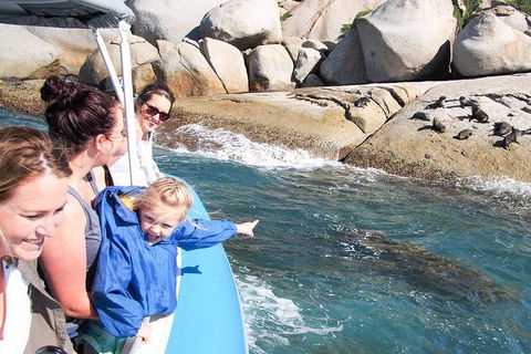 Seal Island Boat Tour From Victor Harbor - Restaurants Sydney 4