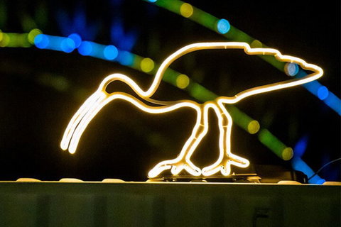 Walk The Lights â€”Â A VIVID Festival Walking Tour - Restaurants Sydney 2