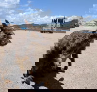 Magnetic Island Tour Maggie Comprehensive - Restaurants Sydney